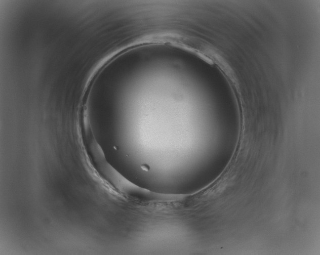 X0000073450960200607281217