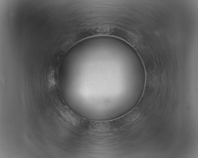 X0000073450962200607281217