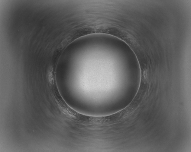 X0000073450963200607281217