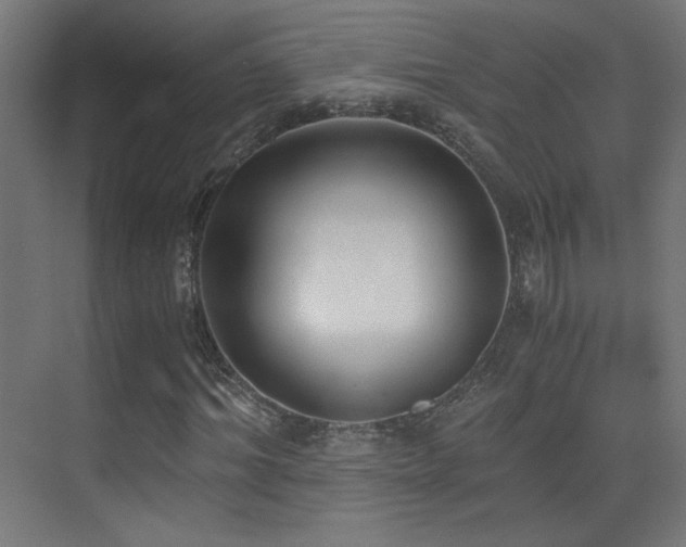 X0000073450964200607281217