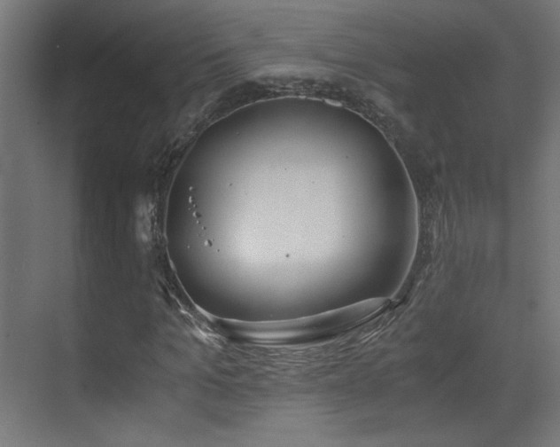 X0000073450965200607281217