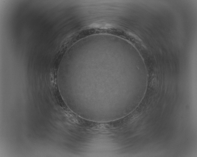 X0000073450966200607281217