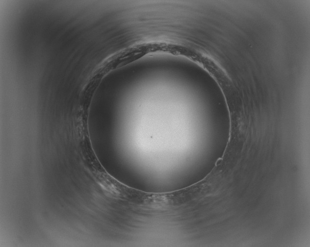 X0000073450968200607281217