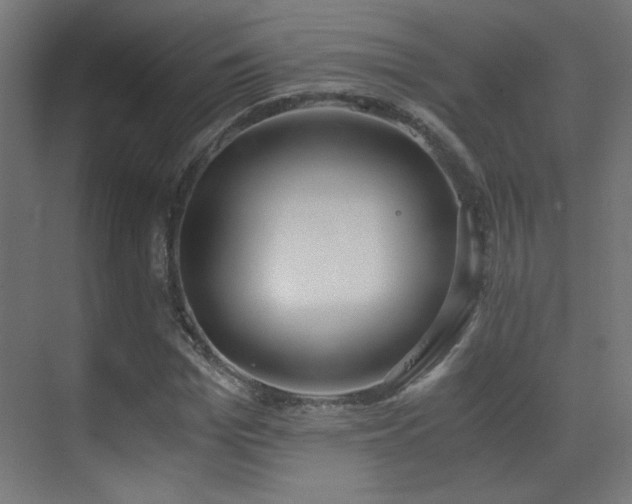 X0000073450969200607281216