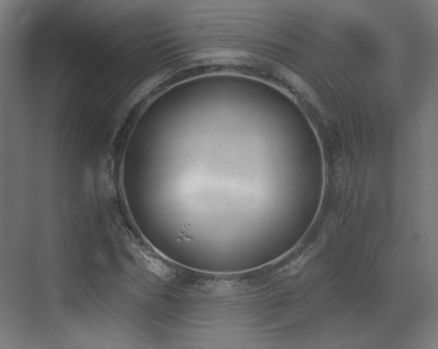 X0000073450970200607281216