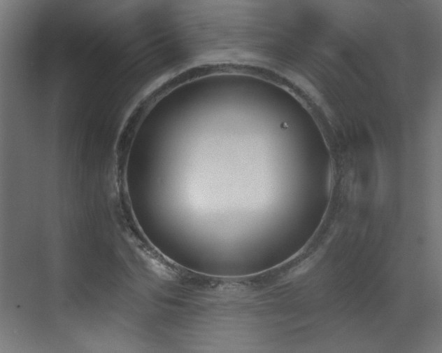 X0000073450974200607281216