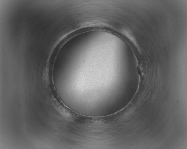 X0000073450975200607281216