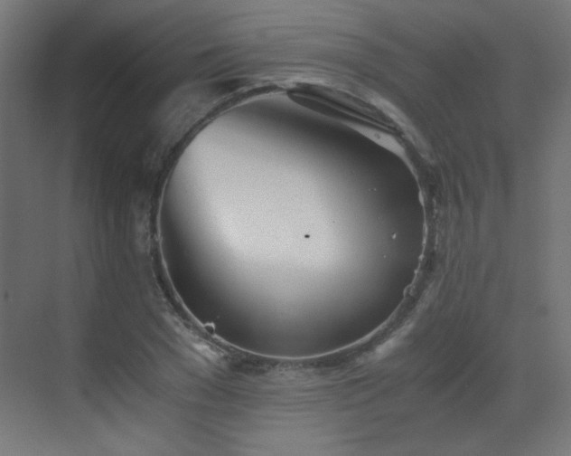 X0000073450977200607281216