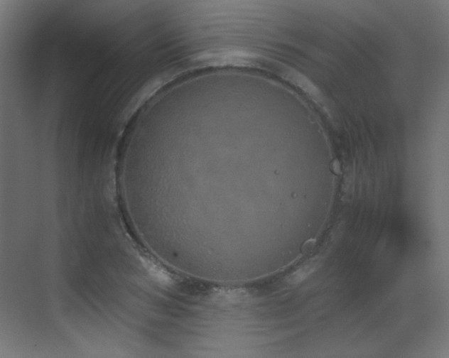 X0000073450978200607281216