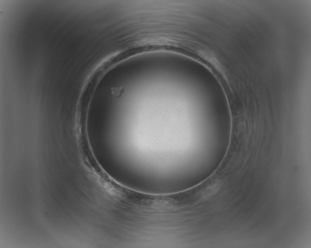 X0000073450979200607281216