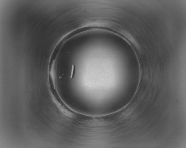 X0000073450980200607281216