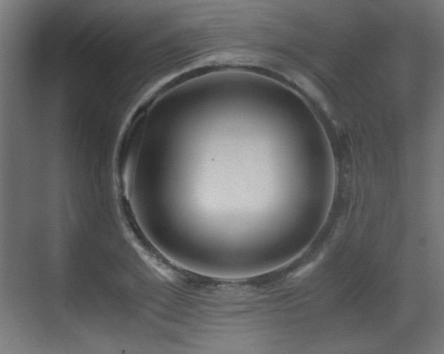 X0000073450981200607281216