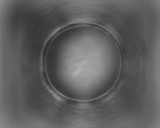 X0000073450982200607281216