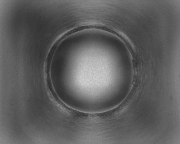 X0000073450983200607281216