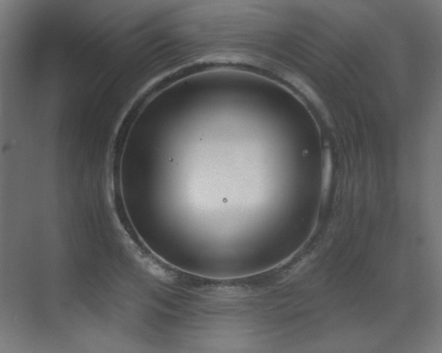 X0000073450984200607281216