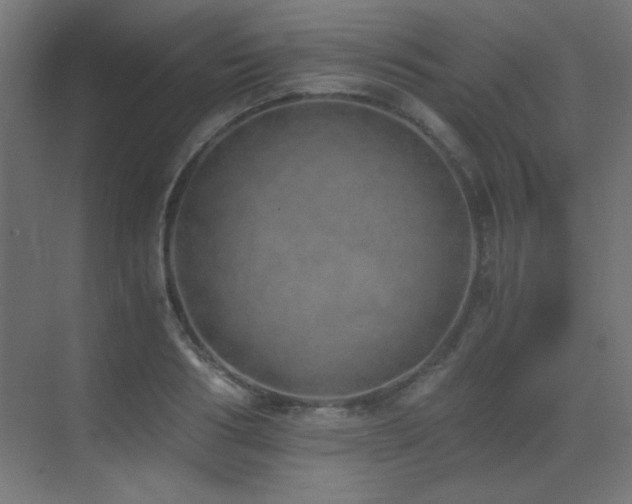 X0000073450986200607281216