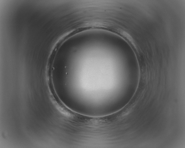 X0000073450987200607281216