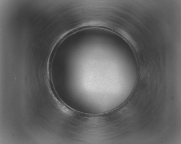 X0000073450988200607281216