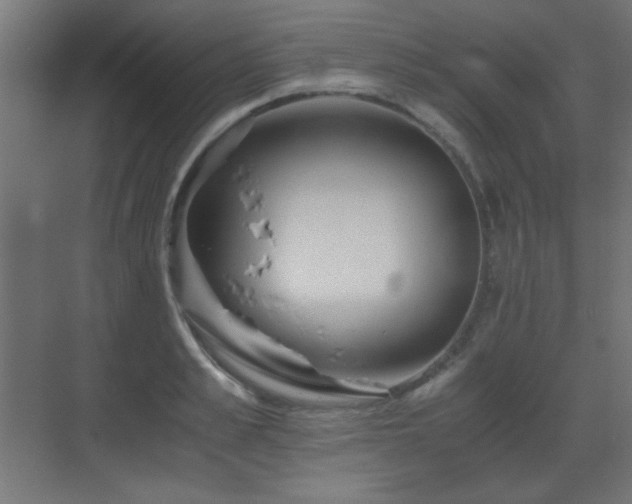 X0000073450989200607281216