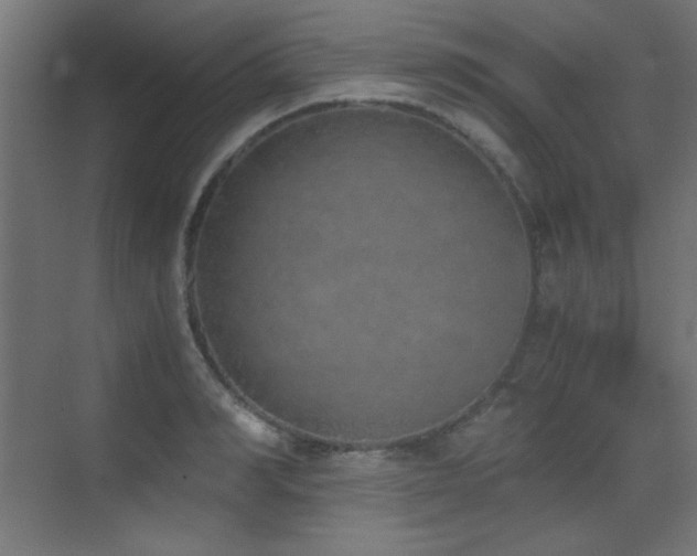 X0000073450990200607281216