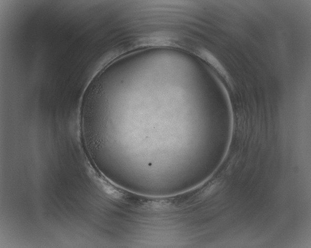 X0000073450994200607281216