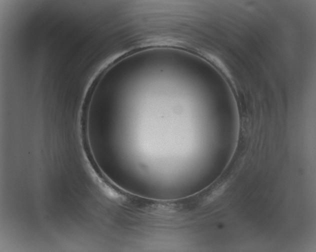 X0000073450995200607281216