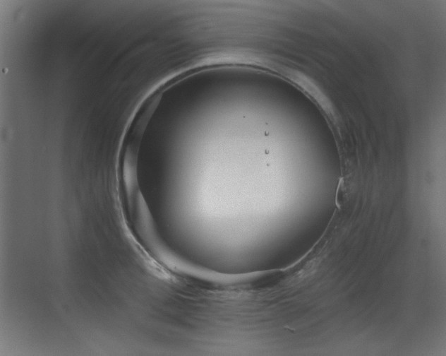 X0000073450996200607281216