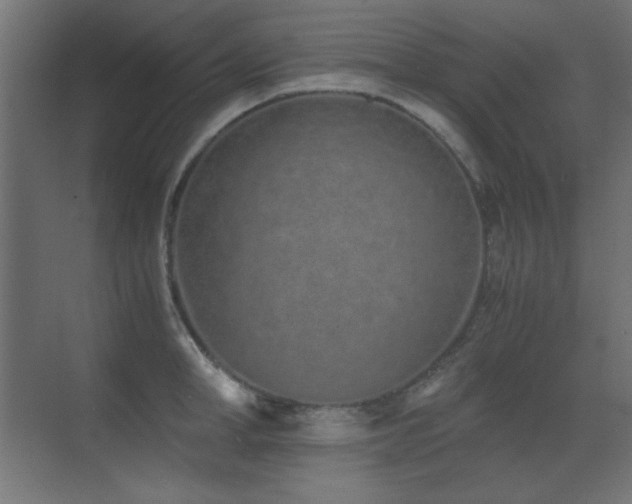 X0000073450998200607281216