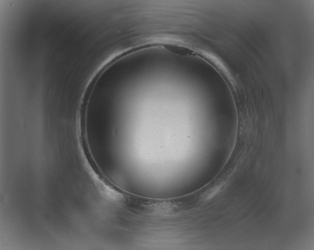 X0000073450999200607281216