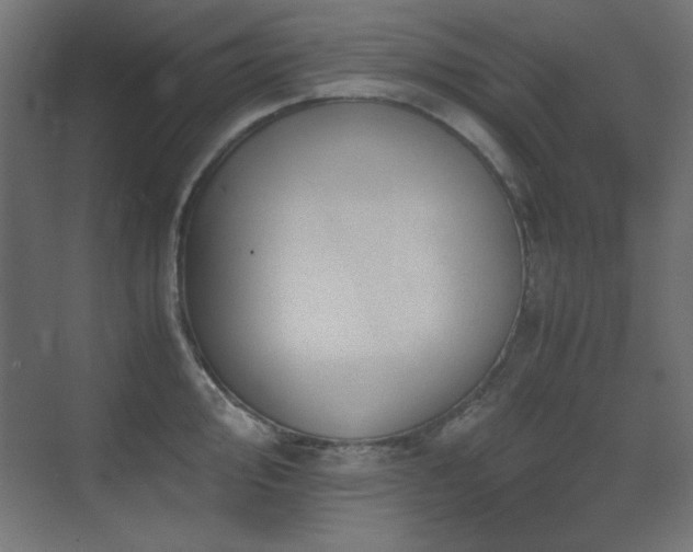 X0000073451000200607281216