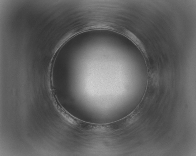 X0000073451002200607281216