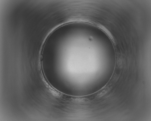 X0000073451004200607281216