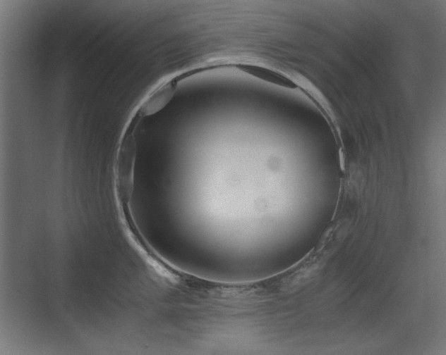 X0000073451005200607281216