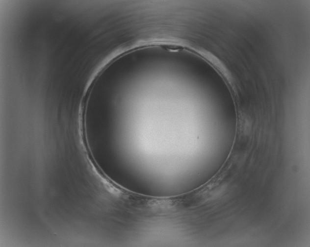 X0000073451006200607281216