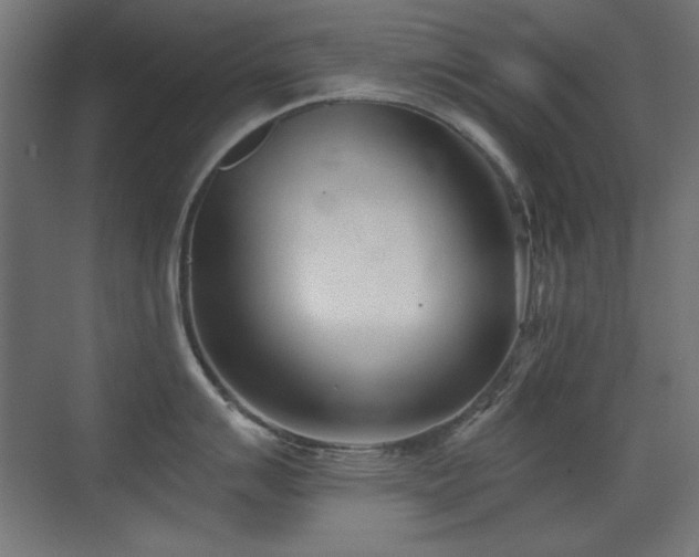 X0000073451007200607281216