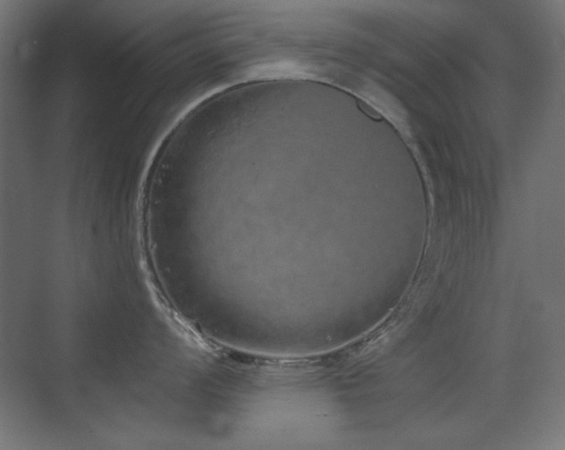 X0000073451008200607281216