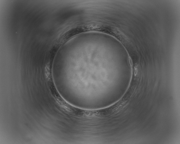 X0000073451011200607281215