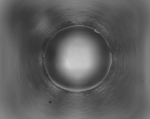 X0000073451012200607281215