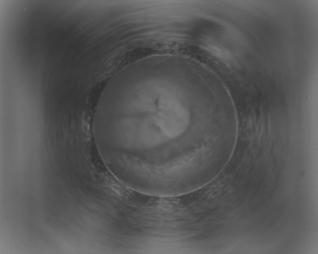 X0000073451013200607281215