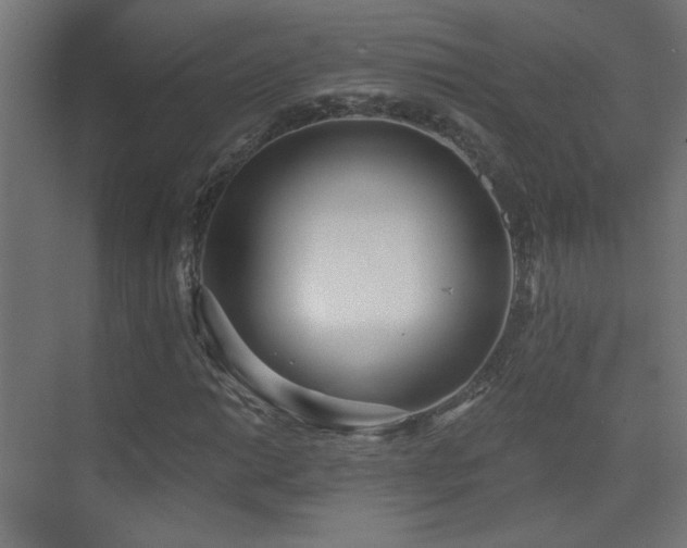 X0000073451014200607281215