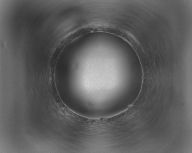 X0000073451016200607281215