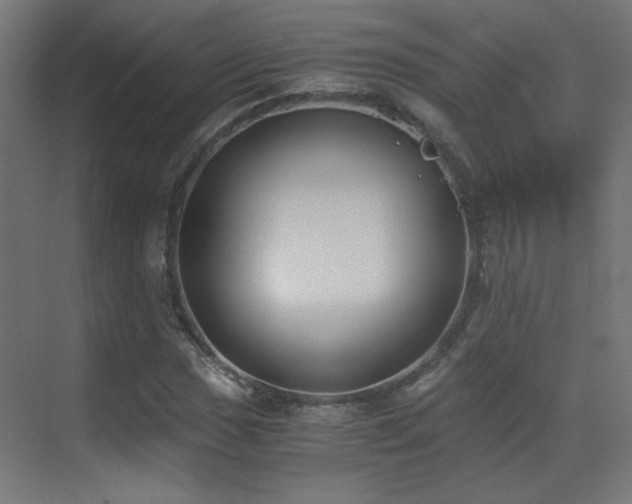 X0000073451017200607281215