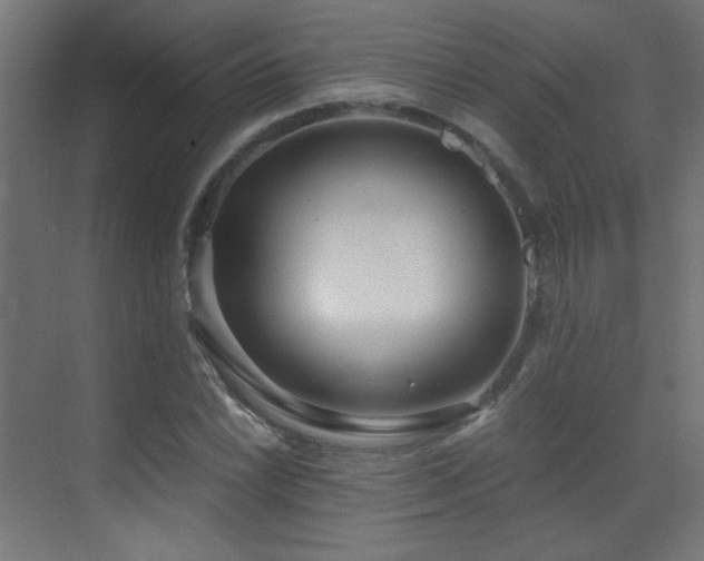 X0000073451022200607281215