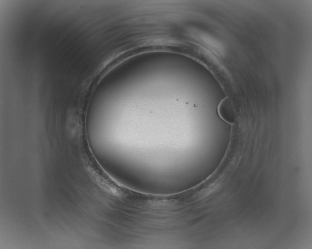 X0000073451025200607281215