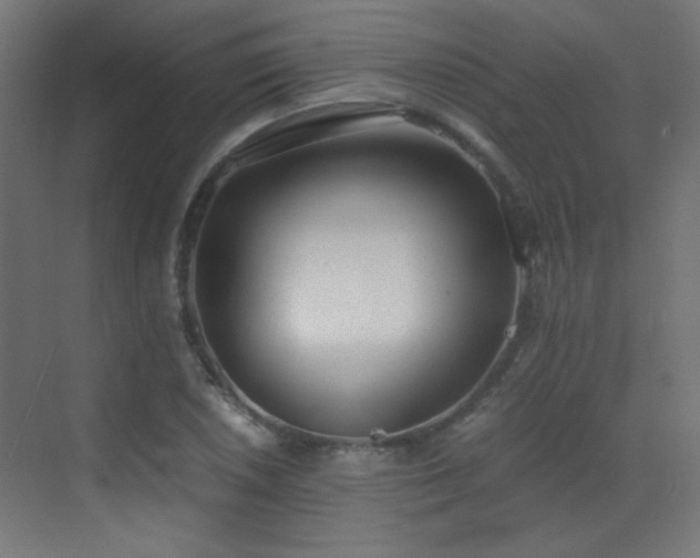 X0000073451026200607281215