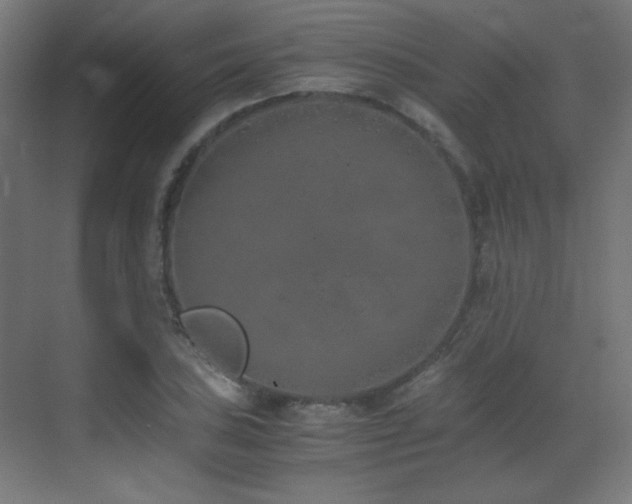 X0000073451027200607281215