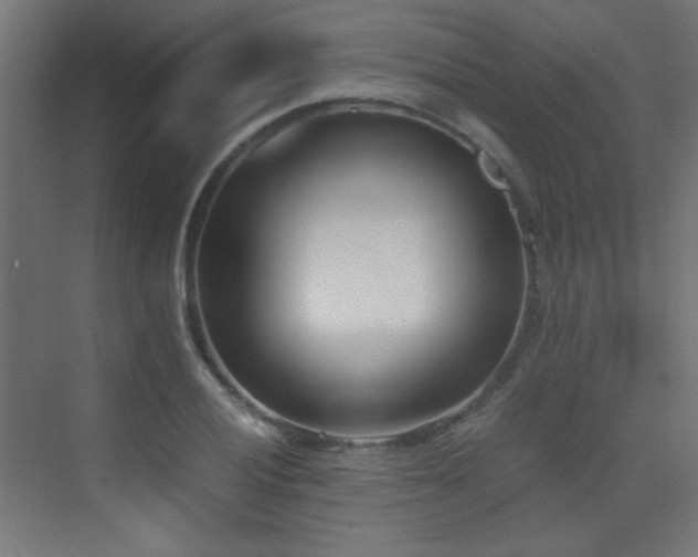 X0000073451028200607281215