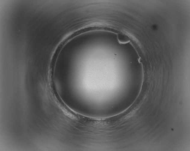 X0000073451029200607281215