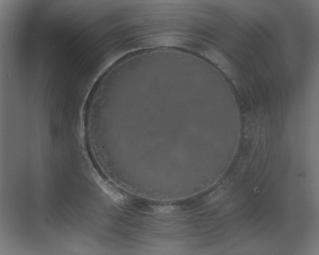 X0000073451031200607281215