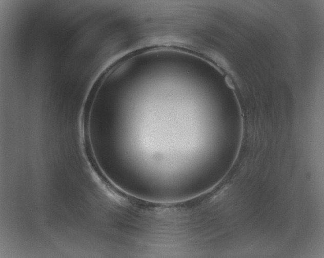 X0000073451032200607281215